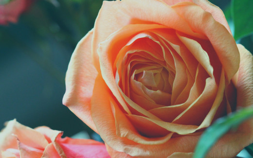 1046708 (a): :2880x1800